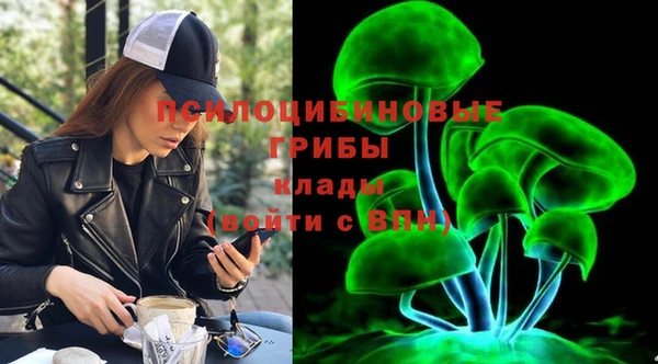 крисы Алексин